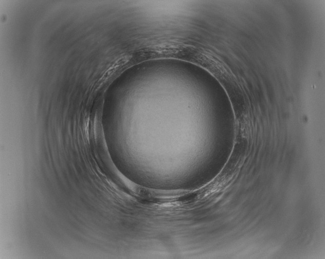 X0000076251298200609281129