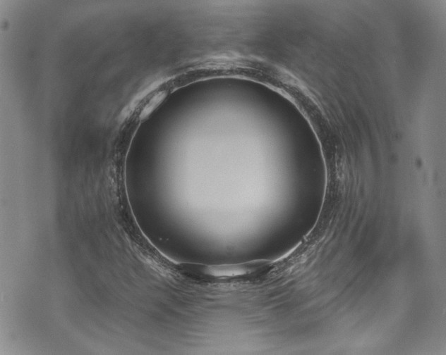X0000076251304200609281129