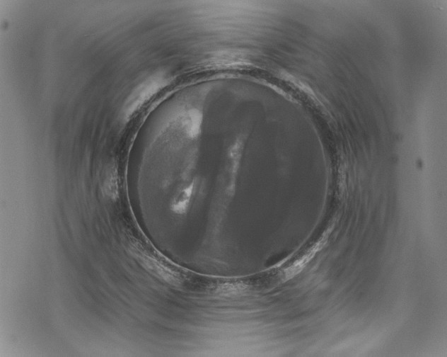 X0000076251306200609281129