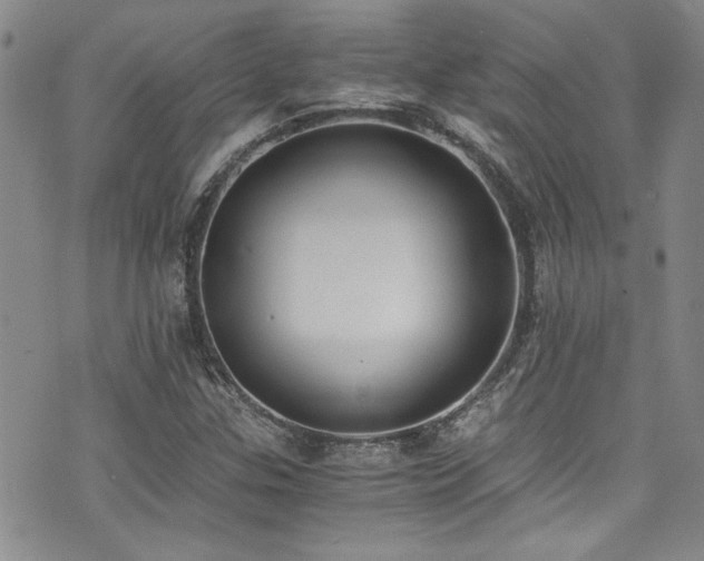 X0000076251307200609281129