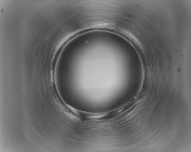 X0000076251324200609281129