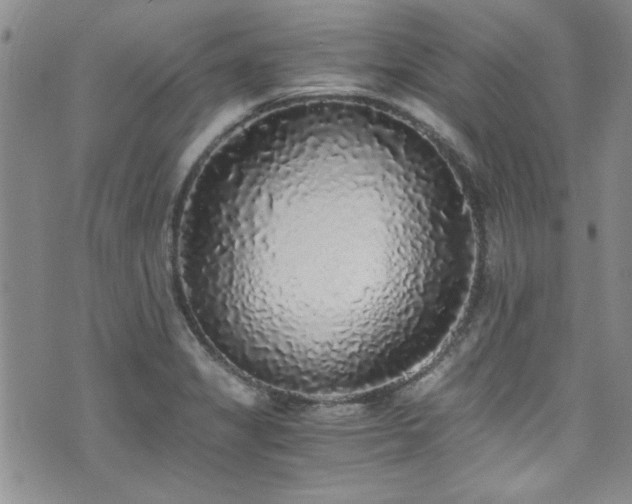 X0000076251325200609281129