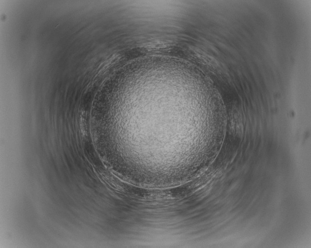 X0000076251346200609281129