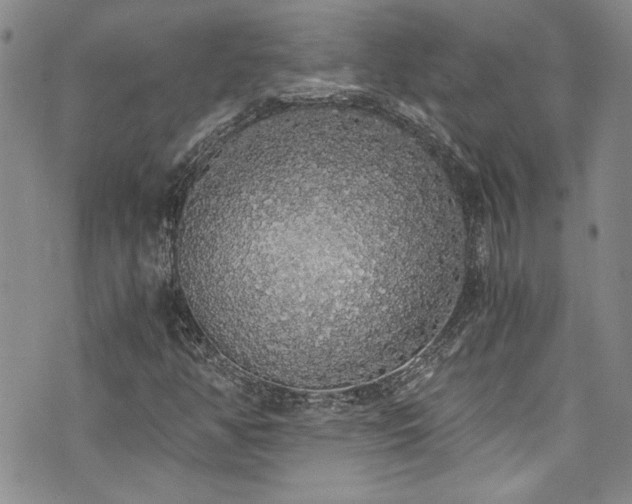 X0000076251350200609281129