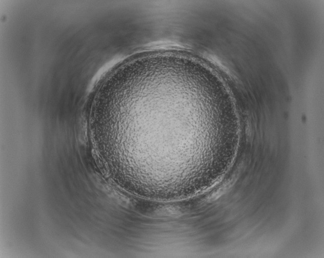 X0000076251358200609281129