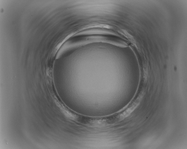 X0000076251369200609281129