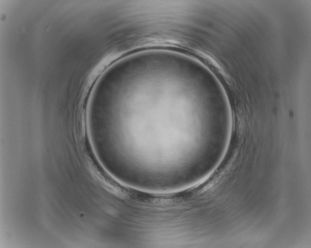 X0000076251371200609281129