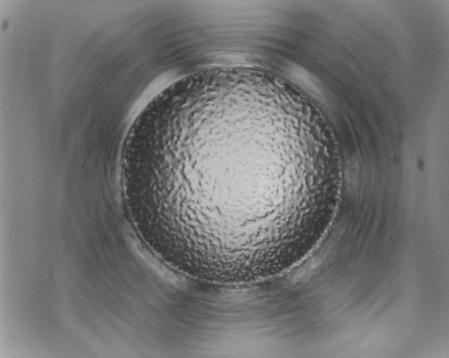 X0000076251378200609281128