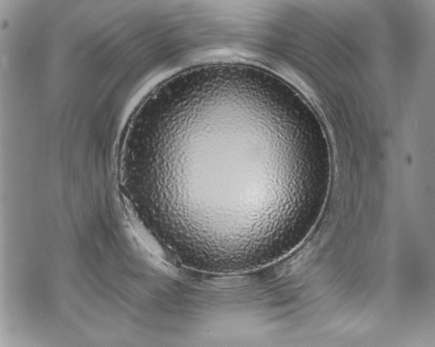 X0000076251392200609281128