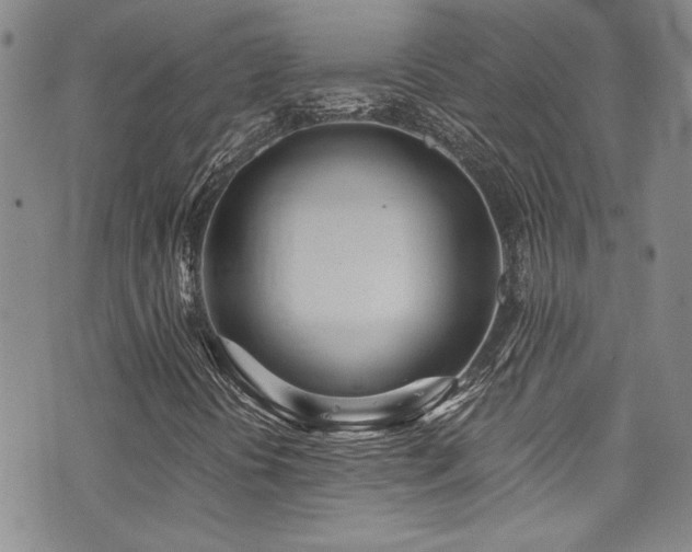 X0000076251394200609281127