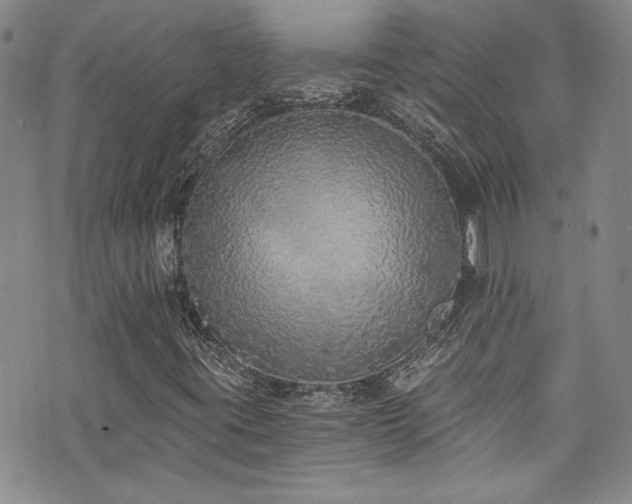 X0000076251395200609281128