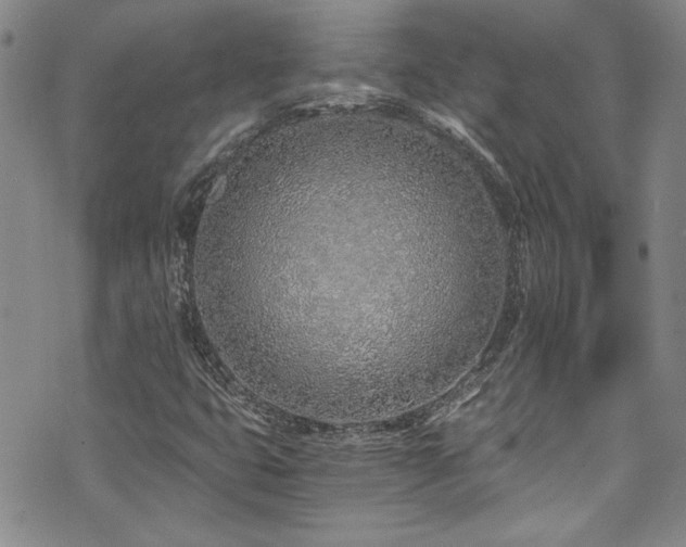 X0000076251399200609281128