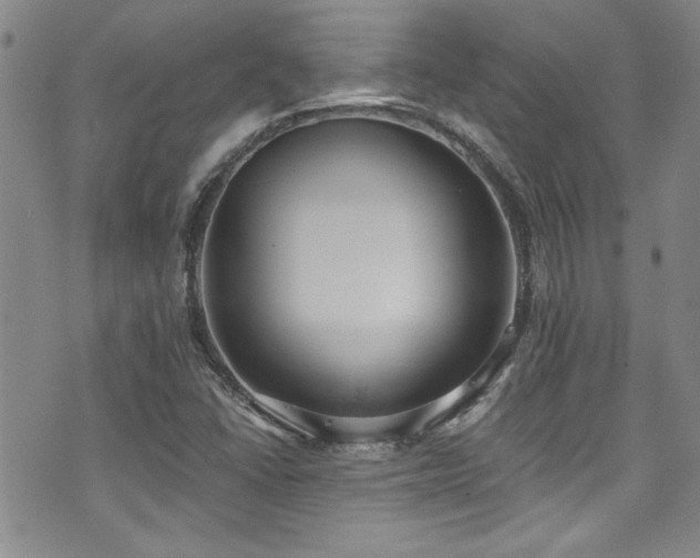 X0000076251406200609281128
