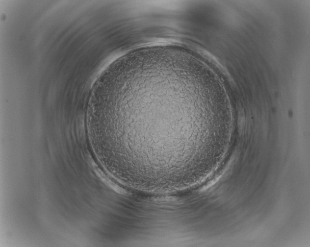 X0000076251417200609281128