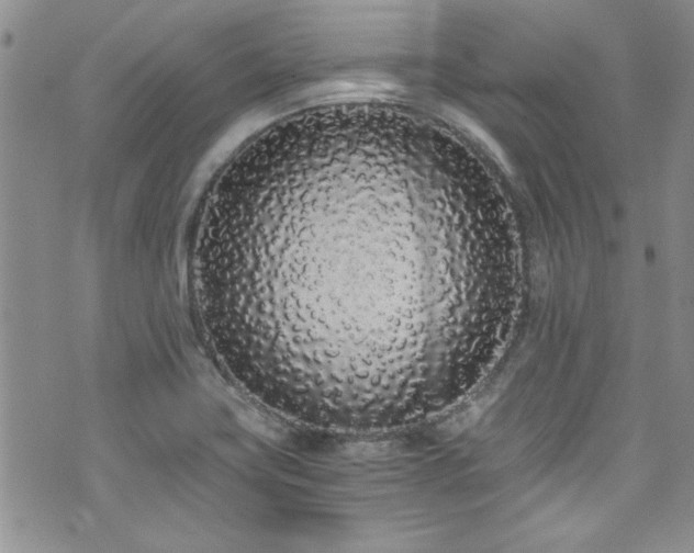X0000076251419200609281128