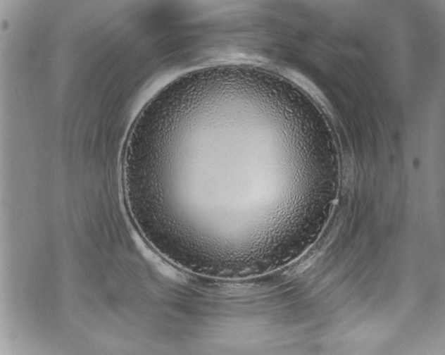 X0000076251439200609281128