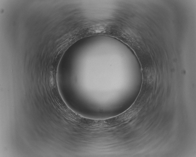 X0000076251442200609281127