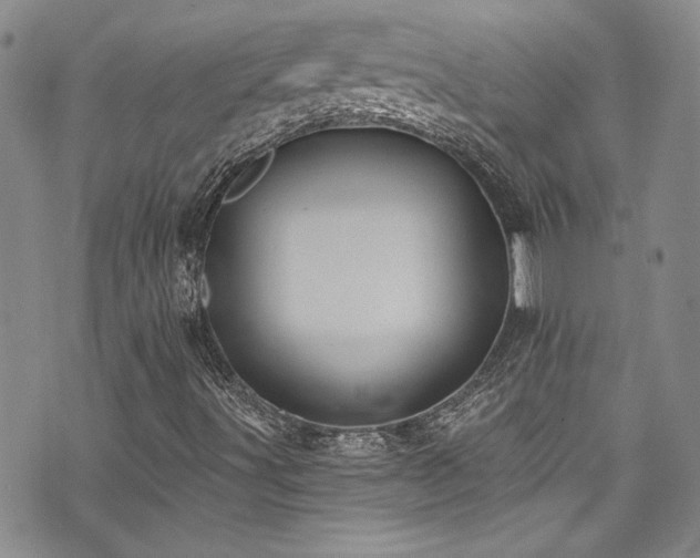 X0000076251491200609281126