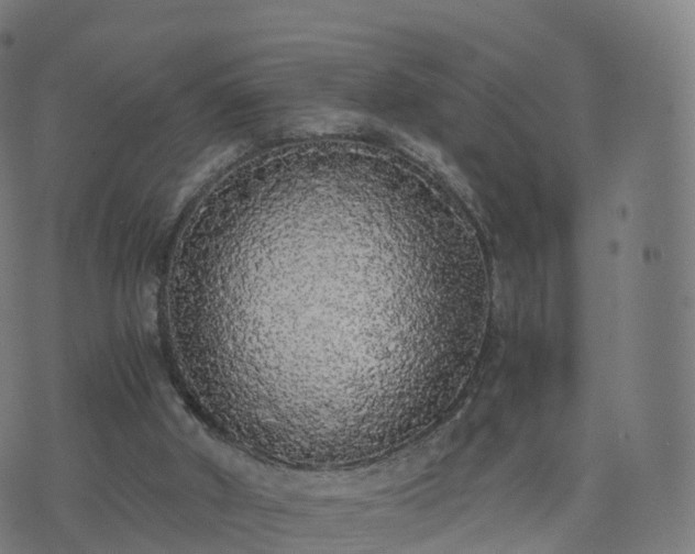 X0000076250010200610051232