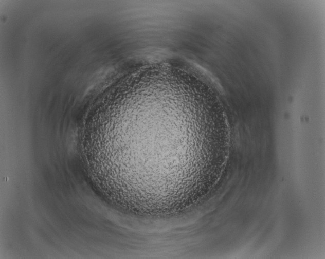 X0000076250018200610051232