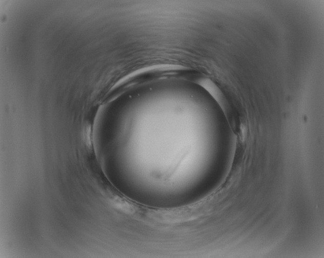 X0000076250041200610051231
