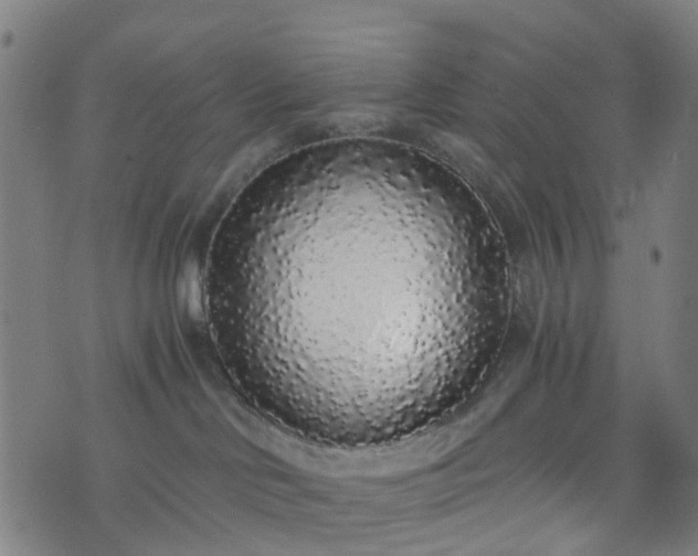 X0000076250046200610051231