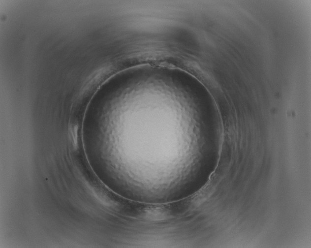 X0000076250070200610051231