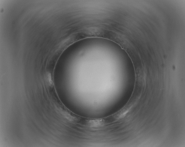 X0000076250089200610051231