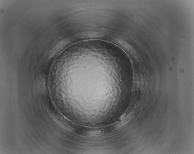 X0000076250158200610051229