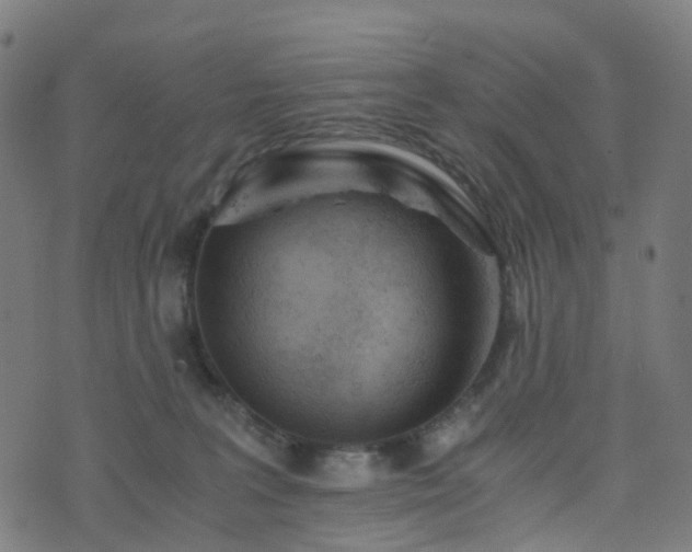 X0000076250227200610051228