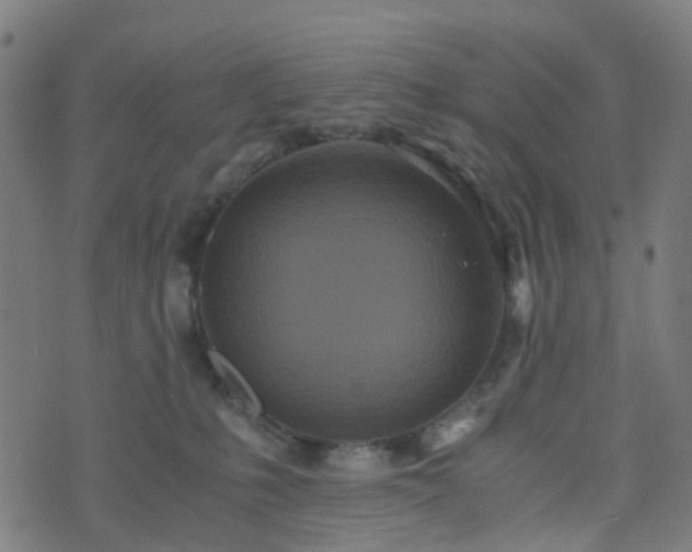 X0000076250231200610051228