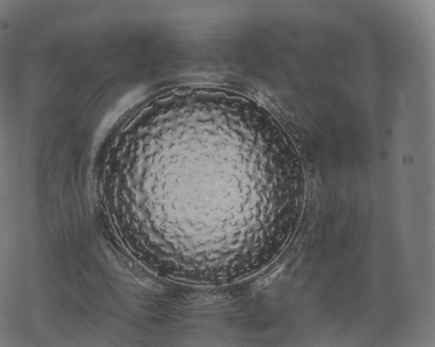 X0000076250343200610051226
