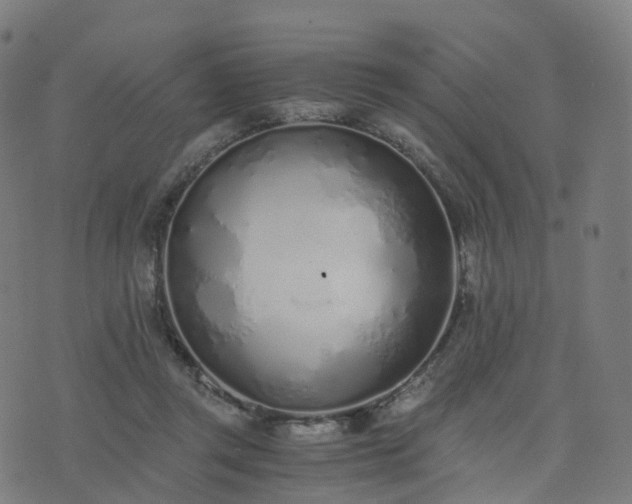 X0000076250357200610051226