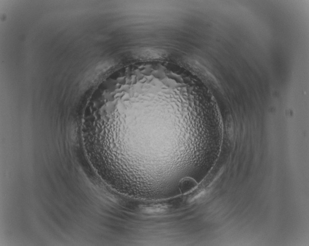 X0000076250359200610051226
