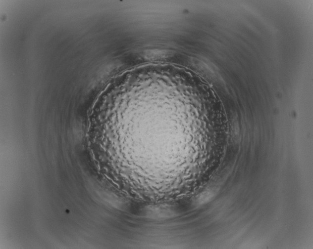 X0000076250367200610051226