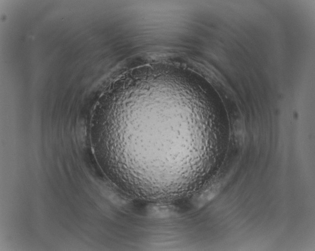 X0000076250372200610051226