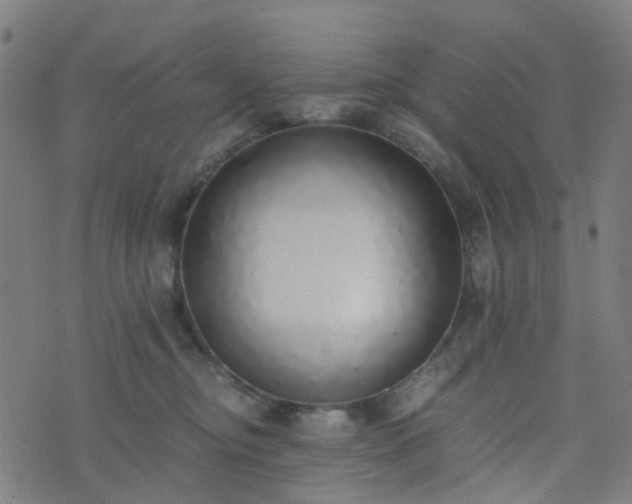 X0000076250374200610051226
