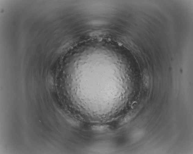 X0000076250375200610051226