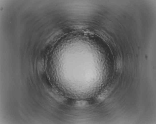 X0000076250376200610051226