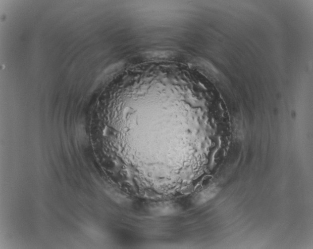 X0000076250377200610051226