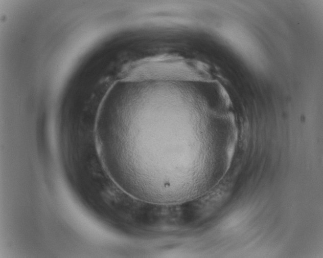 X0000076250383200610051226