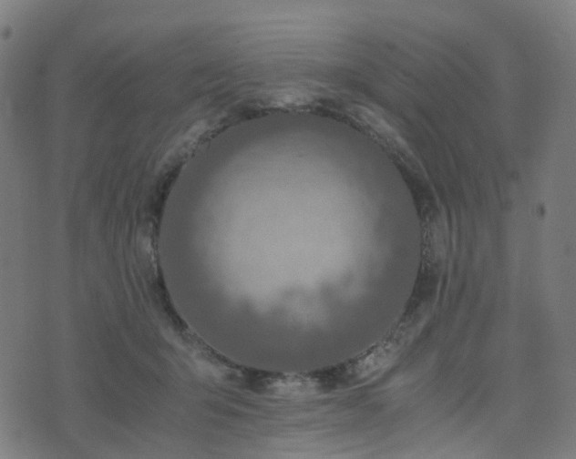 X0000076250415200610051225