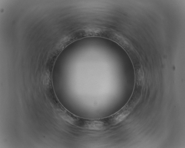 X0000076250463200610051225