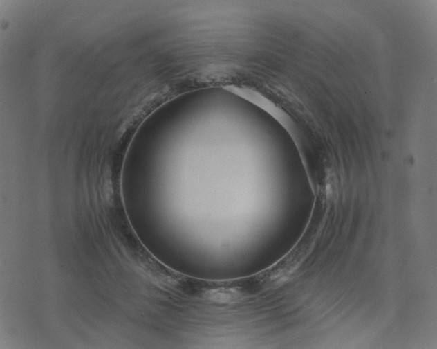 X0000076250508200610051224