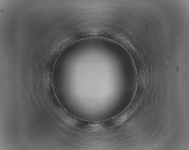X0000076250509200610051224