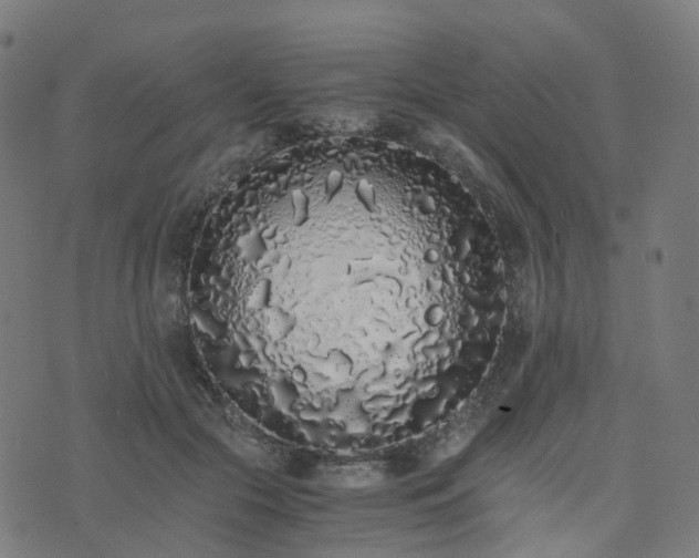X0000076250553200610051223