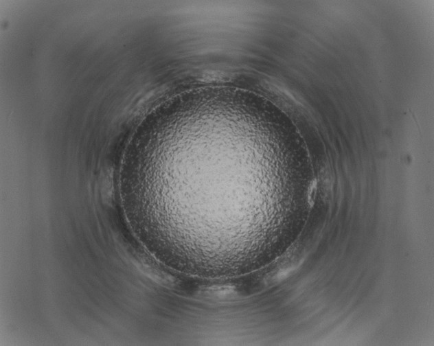 X0000076250554200610051223