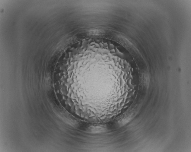 X0000076250557200610051223