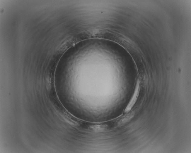 X0000076250558200610051223