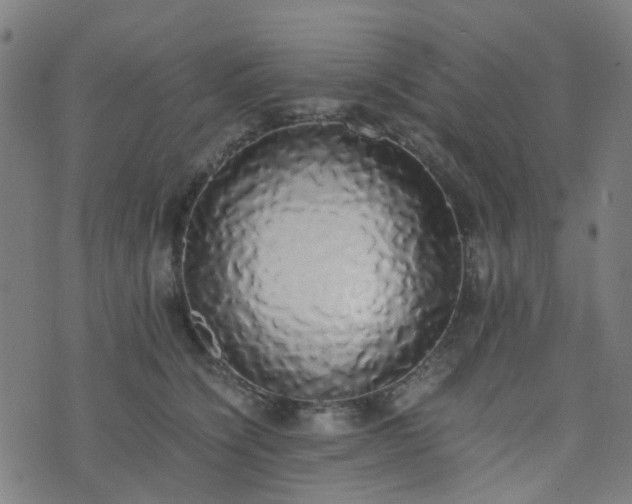 X0000076250564200610051223